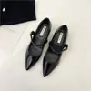 Zapatos de Mujer Estilo Francés con Punta Aguda que Aumentan la Altura 2025 Primavera Nuevos Retro Versátiles Elegantes de Correa Única con Tacón Grueso Zapatos Mary Jane