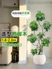 Planta Verde Grande para Sala de Estar con Forma de Pata de Pato, Planta en Maceta de Interior de Fácil Mantenimiento, Planta Verde Perenne de Pie para Oficina para Todas las Estaciones