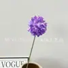 Bola de Cebolleta Única Fresca y Simple Simulación Degradado Boda Hotel Fotografía Video Centro Comercial Escena de Vitrina Venta al por Mayor Transfronteriza