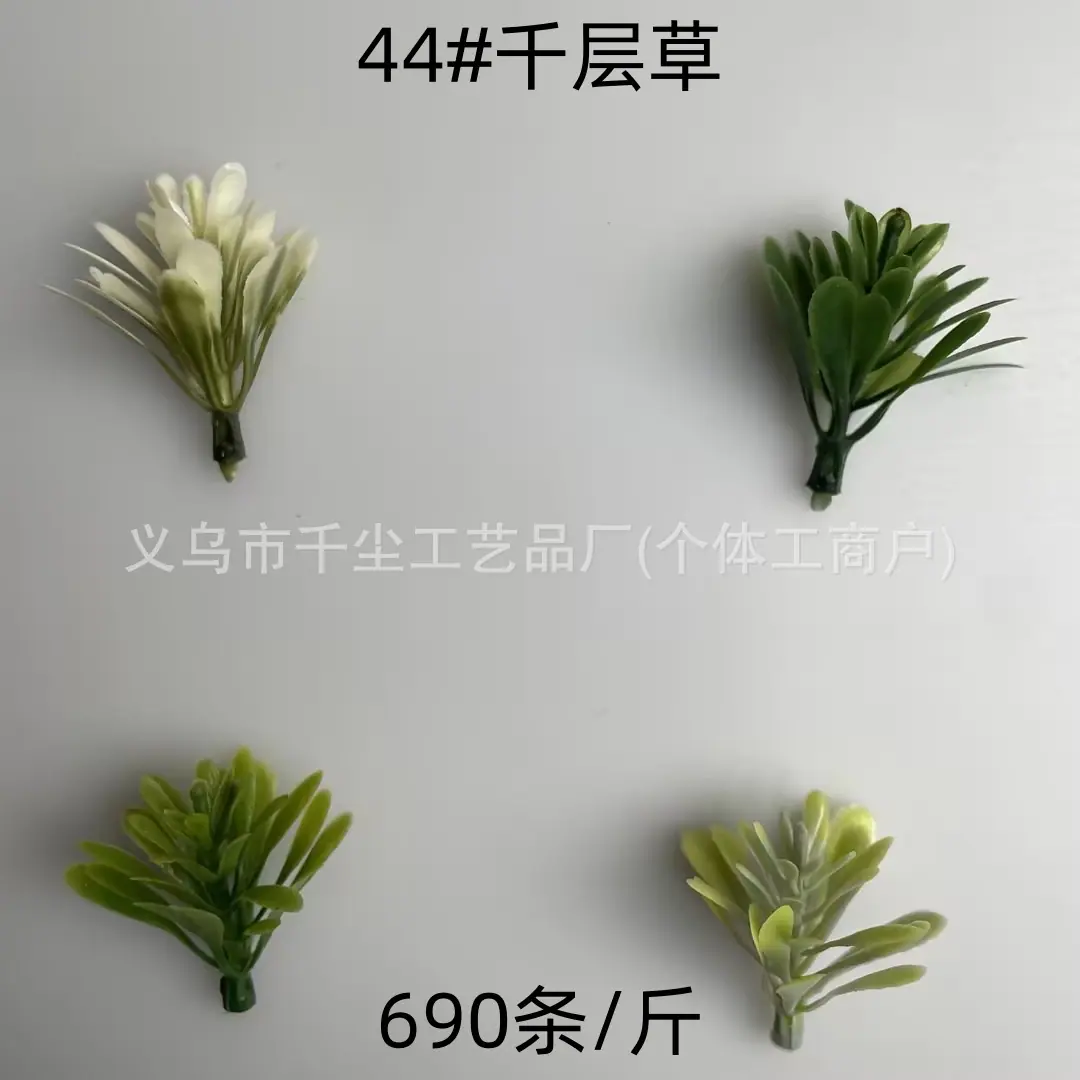 44#千层草.jpg