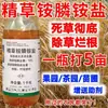 Herbicida de Glifosato de Amonio Genuino de Alto Contenido para Malezas Persistentes en Huertos y Terrenos Baldíos, Efectivo Contra Especies de Malezas Como la Oxalis y los Juncos