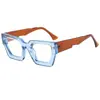 Gafas Lisas de Nuevo Estilo Transfronterizas con Montura Gruesa Cuadrada Pequeña Europeas y Americanas para Hombres Sin Maquillaje, Gafas de Moda de Gama Alta de Múltiples Colores Opcionales para Mujeres