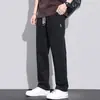 Calças casuais de perna reta leves de verão para homens, estilo workwear, primavera e outono, algodão puro, calças masculinas de verão, atacado transfronteiriço