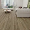 Piso Vinílico SPC de Comércio Exterior, Piso Pedra-Plástico para Lojas no Exterior e Decoração Residencial, Painéis Encaixáveis Resistentes ao Desgaste