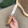 Cuchillo de Barbacoa para Exteriores para Comer Res y Cordero, Cuchillo para Fruta, Cuchillo para Carne, Cuchillo Manual para Carne, Cuchillo Portátil de Acero Inoxidable para Cortar Carne