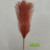 Cañas de Fuegos Artificiales Estilo Europeo y Americano Amazon Transfronterizo Estilo Ins Pasto de la Pampa Cañas Cortas de 6 Picos Comercio de Exportación