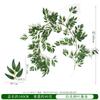 Ratán de Hoja de Sauce Simulado Transfronterizo Decoración para Fiestas en Tuberías Domésticas Flor Artificial de Plástico Accesorios de Fotografía Fabricante Venta al por Mayor