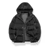 Inverno 2023 Novo Xadrez Rosto Brilhante Com Capuz Espessado Jovem Acolchoado de Algodão Casaco Jaqueta Acolchoada de Algodão Casal Tendência Top Masculino
