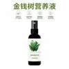 Solución Nutritiva Especial para Árbol del Dinero Fertilizante para Prevenir Hojas Amarillas, Caída de Hojas y Pudrición de Raíces. Spray para Árbol de Dinero para Hojas Verdes, Crecimiento de Raíces y Promoción de Flores, No Requiere Dilución