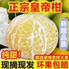 Naranjas Mandarina Frescas/Naranjas Guomandarina/Cítricos Naranjas al por Mayor de Cáscara Fina