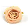 30 piezas de cabezas de flores de rosa artificiales de estilo europeo color champán, materiales DIY para hacer pasadores, marcos de fotos y arreglos decorativos, flores de seda