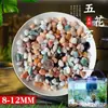 Arena de fondo para acuario, piedras decorativas, juego completo de piedras florales de lluvia ecológicas naturales, piedras luminosas y piedras en bruto