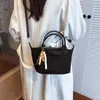 Bolso Dumpling de Color Sólido a la Moda para Mujer, Bolso de Mano Versátil Retro Nuevo, Bolso Cruzado de Alta Gama para el Trabajo
