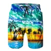 2025 Nuevos Pantalones de Playa Hawaianos para Hombre Estampado Digital 3D Estilo Europeo y Americano Transfronterizo Moda Personalizada Venta Directa de Fábrica