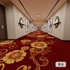 Alfombra para pasillo de hotel, especial, gruesa, ignífuga, con aislamiento acústico, para tienda completa, para habitación de hotel, impresión comercial, suelo personalizado
