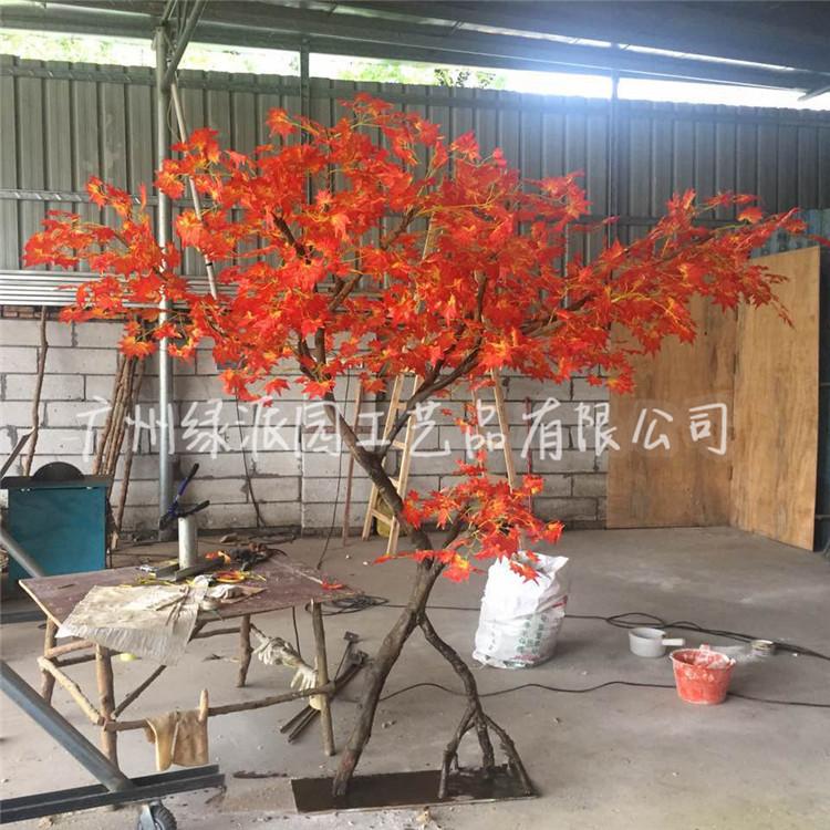 枫树红枫树绿枫124.jpg