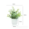 Venta caliente transfronteriza planta artificial planta verde artificial decoración interior y exterior maceta de plástico eucalipto maceta pequeña adornos de flores artificiales
