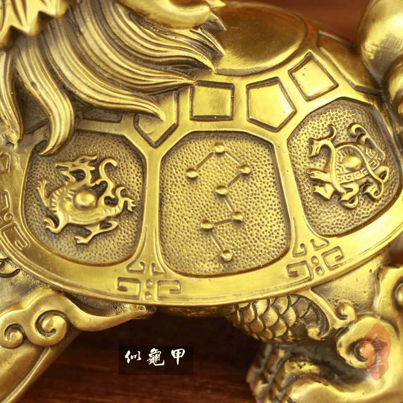 神兽龟 (5)_副本.jpg
