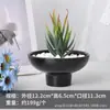 Maceta de Cerámica Minimalista Nórdica Estilo Ins Moderna para Suculentas, Maceta de Flores de Lujo Redonda Creativa para Plantas Verdes de Interior