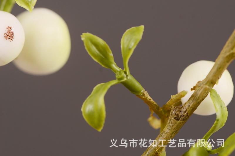 2-10白色安迪小白果.jpg