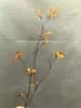 Simulación de Hojas de Otoño Envolviendo Ramas Secas, Techo, Ramas y Arreglo de Ratán, Hojas de Bayas Silvestres, Enredaderas, Ramas Secas, Paisaje Floral Suave