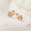 Brincos Transfronteiriços Coreanos Novo Estilo Simples Estilo Cool Brincos Femininos de Zircônia Micro-Incrustada Brincos da Moda Atacado