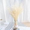 Flor Eterna Avena Flores Secas Naturales Ramo Materiales DIY Regalo de San Valentín Decoración Flores Artificiales de Alta Gama Venta al por Mayor