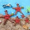Resina Simulación Estrella de Mar Estilo Mediterráneo Pareja Estrella de Mar Colgante Decoraciones Creativas Colgante de Navidad