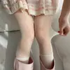 Medias de Cuadros de Perro para Mujer de Primavera y Verano, Medias Panty con Patrón de Diamantes de Moda, Medias Negras Transparentes Sexy Anti-enganches