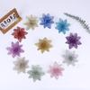 15 cm Flor Oca Pó Dourado de Natal Decoração de Flores de Natal Guirlanda de Flores Decoração de Árvore de Natal Fabricante de Natal Atacado