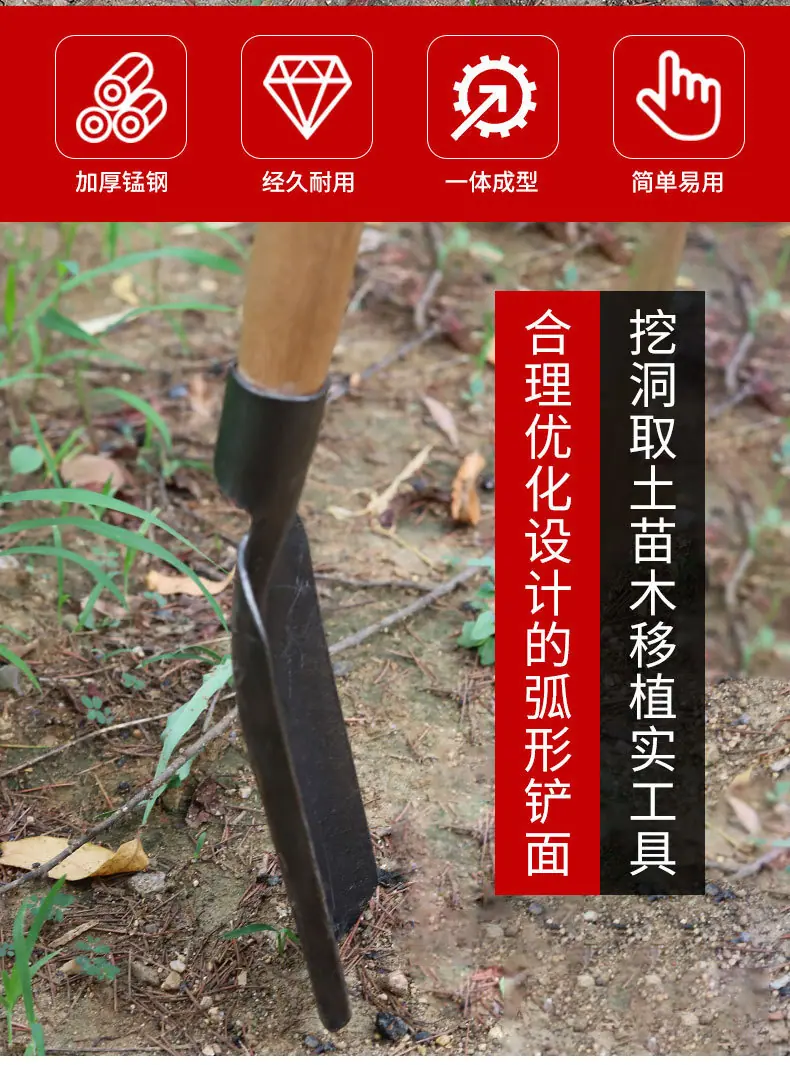 详情_02.jpg