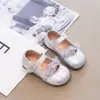 Zapatos Mary Jane para niñas, zapatos de princesa, zapatos de una sola suela blandos, nuevos zapatos de cuero para niños de primavera y otoño, zapatos plateados para actuación decorados con flores
