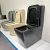 Asiento de Inodoro Redondo Negro Mate Tipo Australiano Dividido de Un Agujero Montado en Pared Horizontal de Descarga Empotrada Independiente