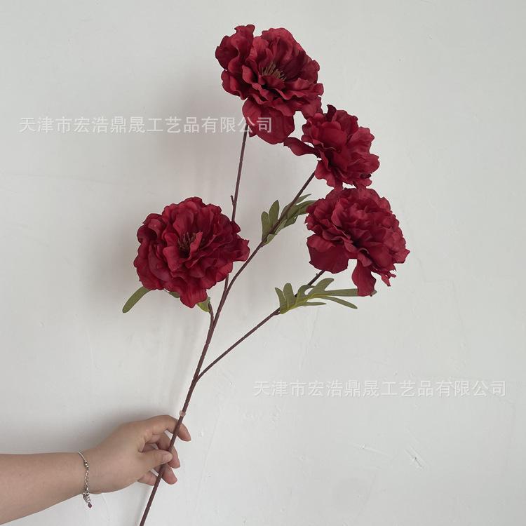 微信图片_202206101507038_副本