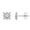 Brincos de Liga de Titânio F136 Transfronteiriços de Novo Produto Brincos Olho do Diabo Dourados Brincos Starburst Zircônia 5A Brincos Polaris