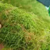 Musgo Sintético, Gramado de Musgo Artificial, Paisagismo de Vitrine Interna, Bloco de Grama de Planta Verde, Fundo para Fotografia de Micro-Paisagem, Terreno de Musgo