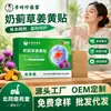 Li Shizhen Patch de Cardo Mariano e Cúrcuma Extratos Herbais Aliviar Desconforto no Ombro, Pescoço, Lombar e Joelho Patch Penetrante de Erva-de-São-João e Panax Notoginseng