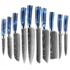 Juego de Cuchillos de Chef para Venta al por Mayor en Amazon Transfronterizo, Cuchillo Santoku para Rebanar Frutas, Cuchillo de Cocina Multiusos para Deshuesar, Juego de Cuchillos de 10 Piezas