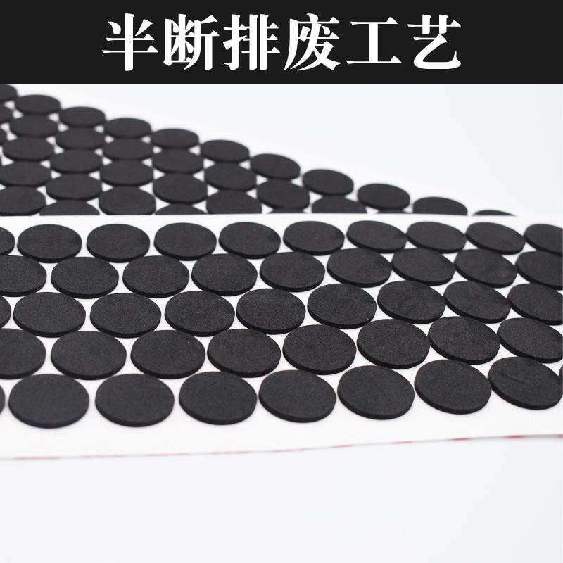 EVA视频1