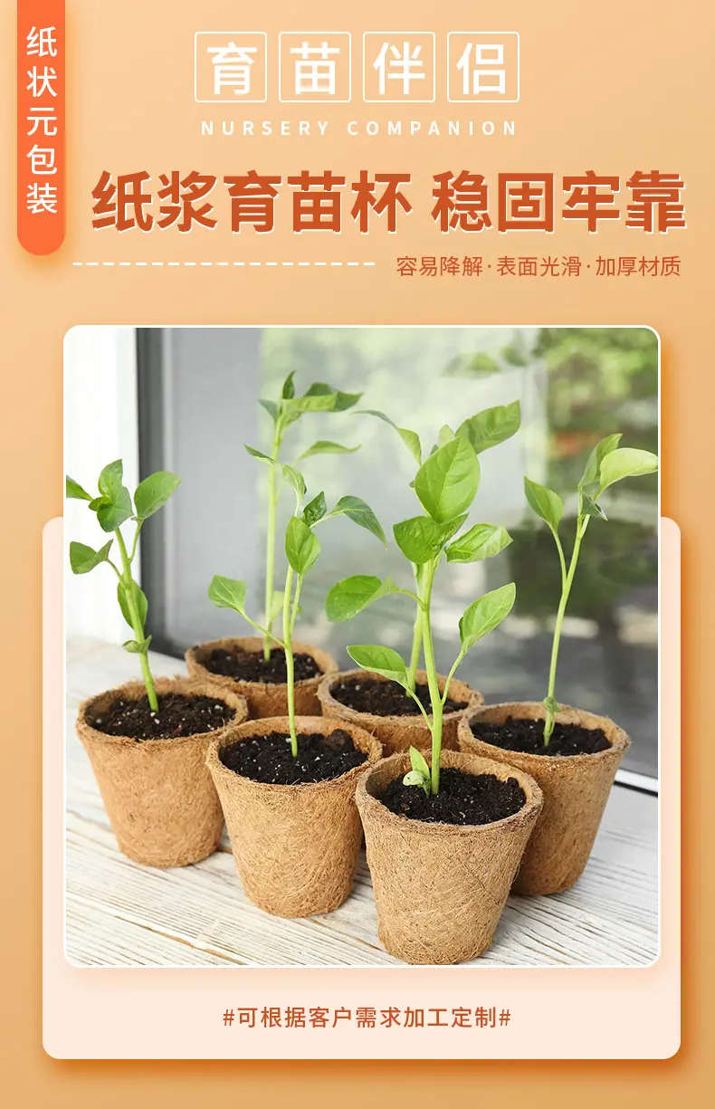 育苗杯_01.png