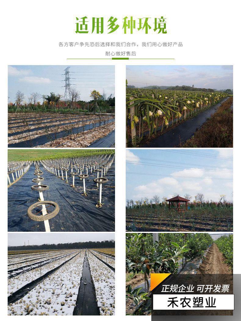 微信图片_20230412212344_副本