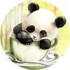 Diy497 Panda Transfronterizo Gema del Tiempo Cristal Redondo Parche de Vidrio Accesorios Al por Mayor