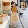 Conjunto de Verano para Niñas 2026 Nuevo Elegante Chaleco de Mangas Volantes Estilo Coreano Vestido de Princesa de Malla en Capas para Niños Mayores