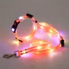 Collar LED Iluminado Mejorado con Siete Modos de Luz de Colores, Recargable, Iluminado por la Noche, Collar para Perro
