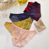 Roupa Íntima de Renda Feminina Popular, Renda Sexy, Confortável, Respirável, Tecido Macio, Alta Elasticidade, Cintura Baixa 3295