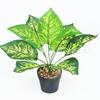 Planta verde artificial plástico pasto persa verde pasto de paisaje planta accesorios para pared decoración jardinería Hogar maceta planta verde falsa