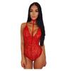 TEMU explosiones Lencería sexy europea y americana Ropa interior de encaje sexy Mono transparente para mujer de cuello halter venta al por mayor