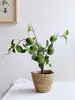 Ramas frutales de limonero, plantas en maceta con fruta fresca, flores artificiales para sala de estar, mueble de TV, mesa de comedor, adornos decorativos