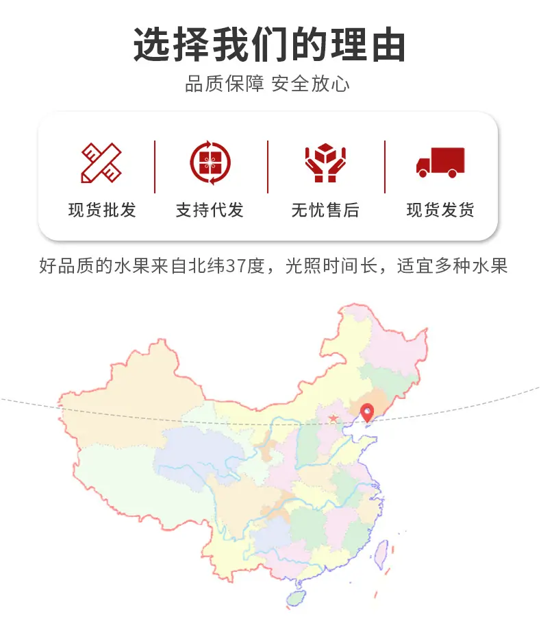 6(1)_05.jpg