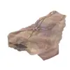 Encanto Sedoso de Seda~ Nuevo Estilo de Tangas Sexys de Encaje para Mujer, Entrepierna de Algodón Puro Transpirable con Aberturas, Bragas de Estilo Puro Deseo para Mujer